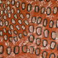 Ngoia Pollard Napaltjarri 